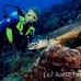 turtle_green_er_h_0705_png1060.jpg